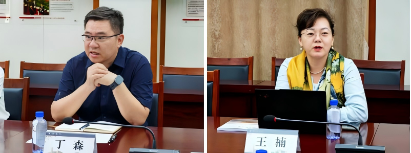 丁森王楠.png 丁森王楠.png